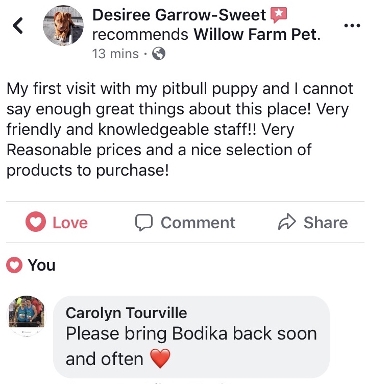 Facebook review of dog daycare at Willow Farm Pet Services in Vermont