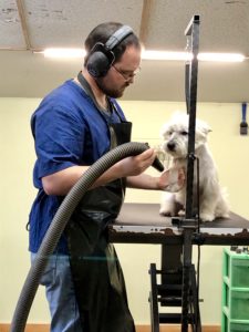 Head groomer at Willow Farm Pet Services in Vermont