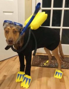 Costume contest winner at Willow Farm Pet Services in Vermont
