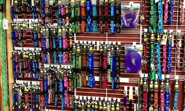 Leashes galore for dogs and cats at Willow Farm Pet Services in Vermont